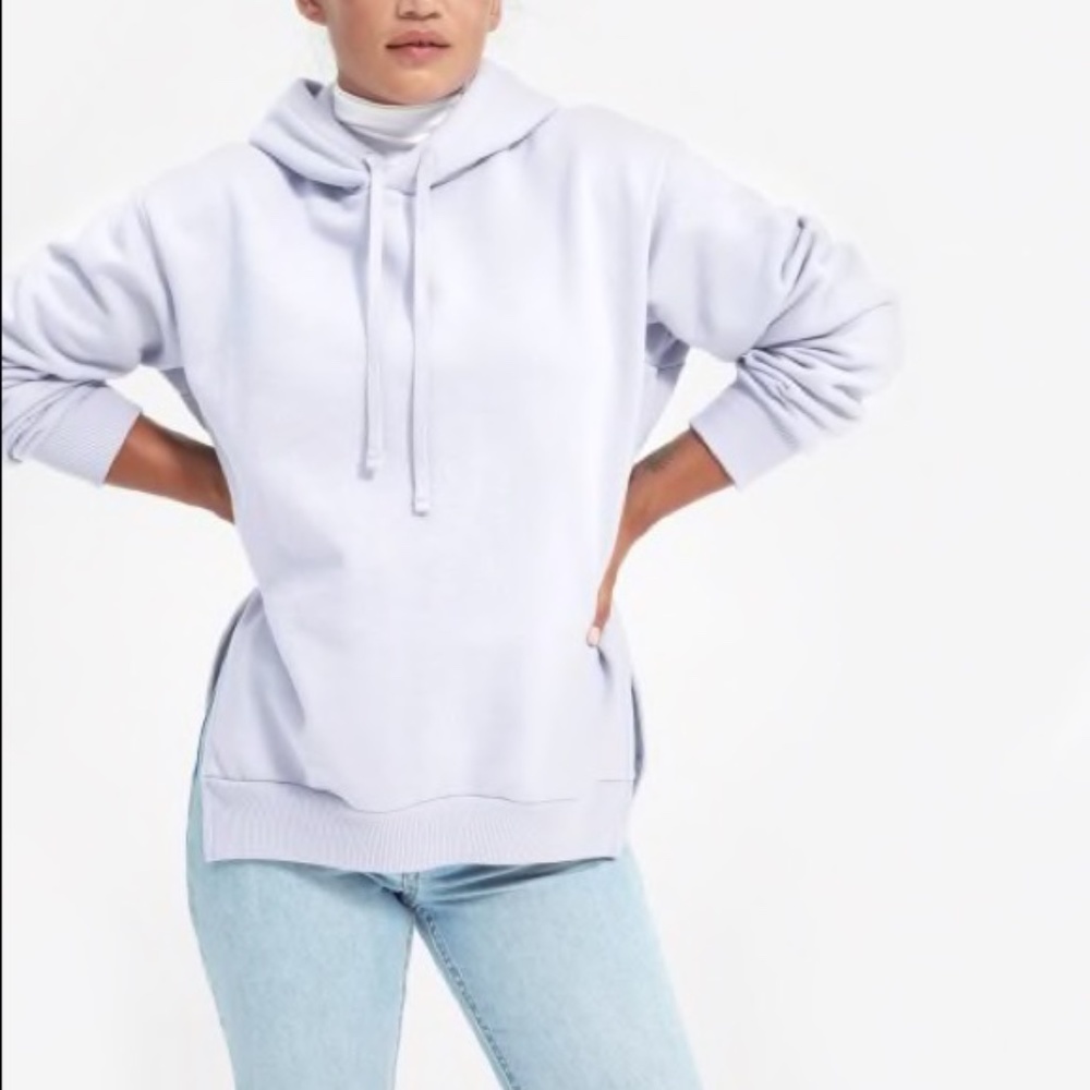 Everlane The Oversized Fleece Hoodie - Picture 1 of 4